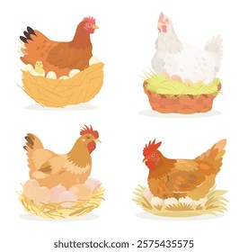 Cute cartoon birds collection. Vector illustration of Chicken, Chicks, eggs and Hen on white background. Set of poultry clip.