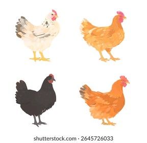 Cute cartoon Birds collection. Vector illustrations of red, brown, white, and black Chicken (Hen) isolated on white background. Set of poultry clip.