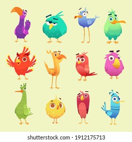 Cute cartoon birds. Funny circle owls cheerful animals with emoticons exact vector characters