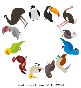 Cute Cartoon birds set - gannet penguin ostrich toucan parrot eagle booby cock, round frame on white background, card design, banner for text. Vector illustration