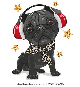 Cute cartoon Black Pug Dog with headphones on a white background