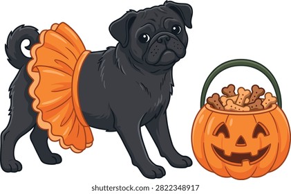Cute cartoon black pug dog wearing an orange tutu skirt standing beside a jack-o-lantern pumpkin bucket filled with bone treats vector illustration