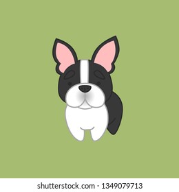 Cute Cartoon Black and White Coat Boston Terrier Vector Illustration from Standing