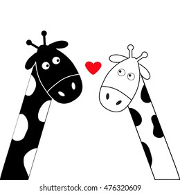 Cute cartoon black white giraffe boy and girl heart. Camelopard couple on date. Funny character set. Long neck. . Happy family. Love greeting card with little hearts. Flat design. Isolated. Vector