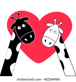 Cute cartoon black white giraffe boy and girl Big heart. Camelopard couple on date. Funny character set. Long neck. Love greeting card with little hearts. Flat design. Isolated. Vector