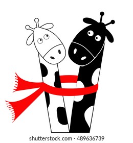 Cute cartoon black white giraffe wearing red scarf. Boy girl couple. Camelopard on date. Long neck. Funny character set. Happy family. Love greeting card. Flat design. Isolated. Vector