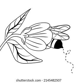 cute cartoon black and white vector illustration with bee and flower for coloring art	