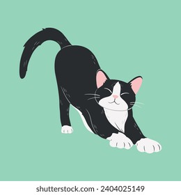 Cute cartoon black-white stretching cat, isolated vector illustration. Domesticated pet for web, greeting card, banner, sticker.