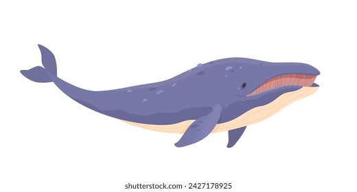 Ilustración del vector de la ballena azul de la historieta linda aislada en fondo blanco. ¡Cachalot! Animal de la vida marina. Polo norte y diseño de la naturaleza ártica.