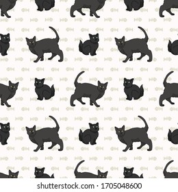 Cute cartoon Bombay cat and kitten seamless vector pattern. Pedigree kitty breed domestic cat background. Cat lover black Asian purebred all over print. Feline EPS 10. 