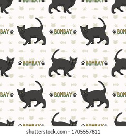 Caricatura corta de un gato de Bombay con un texto sin fisuras de patrón vectorial. Antecedentes de gatos domésticos de raza pedigrree. El amante del gato negro asiático se ha vuelto loco. EPS felina 10. 