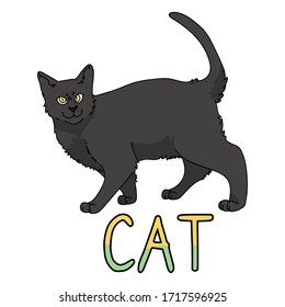 Caricatura corta de un gato en Bombay con un vector de texto. Cría de gatitos pedigrí para los amantes de los gatos. Gatito doméstico negro purebred para mascota ilustrativa de salón de mascotas. Housecat felino aislado. EPS 10.