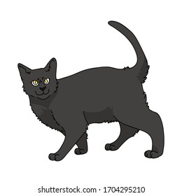 Cuta caricatura del portavoz del gato Bombay. Cría de gatitos pedigrí para los amantes de los gatos. Gatito doméstico negro purebred para mascota ilustrativa de salón de mascotas. Housecat felino aislado. EPS 10.