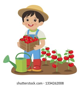Cute Cartoon Boy With Harvest Tomato. Young Farmer Working In The Garden. Colorful Simple Design Vector. Cartoon Boy Holding Tomatoes.