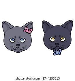 Cute cartoon British Shorthair boy and girl kitten face vector clipart. Pedigree kitty breed for cat lovers. Purebred cat gender bow for pet parlor with bow. Feline illustration EPS 10.