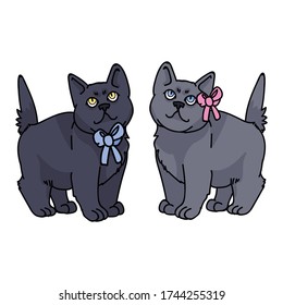 Cute cartoon British Shorthair boy and girl kitten vector clipart. Pedigree kitty breed for cat lovers. Purebred cat gender bow for pet parlor with bow. Feline illustration EPS 10.