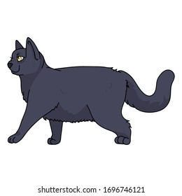 Cute cartoon British shorthair cat vector clipart. Pedigree kitty breed for cat lovers. Purebred domestic kitten for pet parlor illustration mascot. Isolated feline housecat. EPS 10.