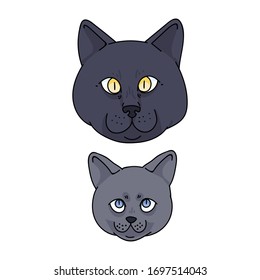 Cute cartoon British shorthair cat and kitten face vector clipart. Pedigree kitty breed for cat lovers. Purebred domestic kitten for pet parlour illustration mascot. Isolated feline housecat. EPS 10. 