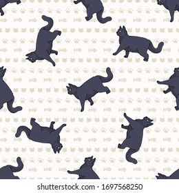 Cute cartoon British shorthair cat seamless vector pattern. Pedigree kitty breed domestic kitty background. Cat lover English purebred all over print. Feline EPS 10. 