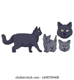 Cute cartoon British shorthair cat and kitten with face vector clipart. Pedigree kitty breed for cat lovers. Purebred domestic kitten for pet parlor illustration mascot. Isolated feline.. EPS 10.