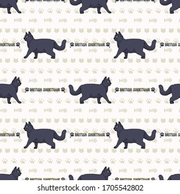 Cute cartoon British shorthair cat with text seamless vector pattern. Pedigree kitty breed domestic kitty background. Cat lover English purebred all over print. Feline EPS 10. 