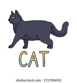 Caricatura británica de gatito corto con clípart vector de texto. Cría de gatitos pedigrí para los amantes de los gatos. Gatito doméstico para mascota de ilustraciones de salón de mascota. Housecat felino aislado. EPS 10.