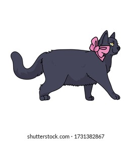 Caricatura británica de gatito de pelo corto con arco rosado clíparte vector. Raza de gatito pedigrí para los amantes de los gatos. Gatito doméstico de puré para mascota de ilustraciones de salón de mascotas. Housecat felino aislado. EPS 10.