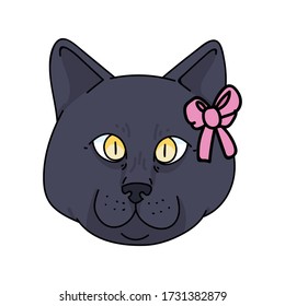 Cute cartoon British shorthair cat face with pink bow vector clipart. Pedigree kitty breed for cat lovers. Purebred domestic kitten for pet parlor illustration mascot. Isolated feline housecat. EPS 10