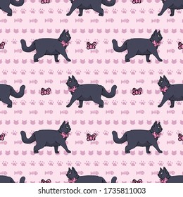 Cute cartoon British shorthair cat with pink bow seamless vector pattern. Pedigree kitty breed domestic kitty background. Cat lover English purebred all over print. Feline EPS 10. 