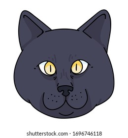 Caricatura británica frente al gato vector clipart. Cría de gatitos pedigrí para los amantes de los gatos. Gatito doméstico para mascota de ilustraciones de salón de mascota. Housecat felino aislado. EPS 10. 