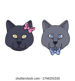 Cute cartoon British Shorthair face boy and girl cat vector clipart. Pedigree kitty breed for cat lovers. Purebred kitten gender bow for pet parlor with bow. Feline illustration EPS 10.