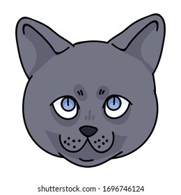 Cute cartoon British shorthair kitten face vector clipart. Pedigree kitty breed for cat lovers. Purebred domestic cat for pet parlor illustration mascot. Isolated feline housecat. EPS 10. 