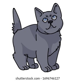 Caricatura británica kitten vector clipart. Cría de gatitos pedigrí para los amantes de los gatos. Gato doméstico de purebred para mascota ilustrativa de salón de mascotas. Housecat felino aislado. EPS 10. 