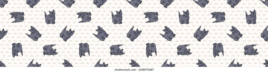 Cute cartoon British shorthair kitten seamless border pattern. Pedigree kitty breed domestic kitty background. Cat lover English purebred washi ribbon. Feline EPS 10 trim. 