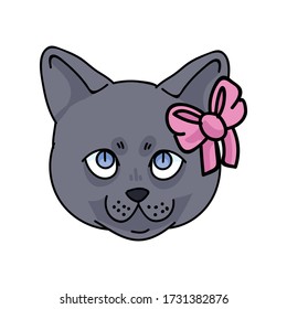 Cute cartoon British shorthair kitten face with pink bow vector clipart. Pedigree kitty breed for cat lovers. Purebred domestic cat for pet parlor illustration mascot. Isolated feline housecat. EPS 10