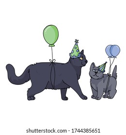 Cute cartoon British Shorthair kitten and cat with party hat vector clipart. Pedigree kitty breed for cat lovers. Celebration for pet parlor illustration mascot. Isolated feline housecat. EPS 10.