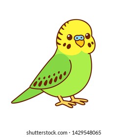 Cute Cartoon Budgie Drawing. Little Green And Yellow Parakeet Bird Vector Illustration.