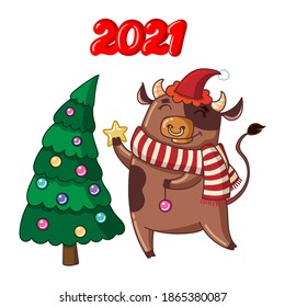 A cute cartoon bull in a Santa hat and scarf decorates the Christmas tree with Christmas balls and a gold star. Christmas character. Vector illustration for a greeting card. Symbol of 2021.