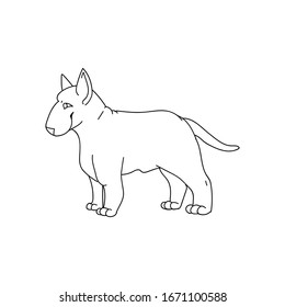 Cute cartoon bull terrier dog breed monochrome lineart vector clipart. Pedigree kennel show dog for dog lovers. Purebred domestic pooch for pet parlor illustration. Isolated canine puppy with snout.