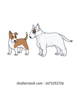 Cute cartoon bull terrier dog and puppy vector clipart. Pedigree kennel show dog for dog lovers. Purebred domestic pooch for pet parlor illustration. Isolated canine puppy with snout. EPS 10. 