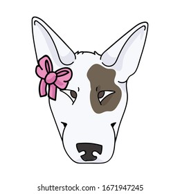 Cute cartoon bull terrier dog face breed with pink bow vector clipart. Pedigree kennel show dog lovers. Purebred domestic pooch for pet parlor illustration. Isolated canine with snout. EPS 10. 