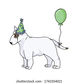 Cute cartoon bull terrier dog breed with party hat vector clipart. Pedigree kennel show dog lovers. Purebred domestic pooch for celebration illustration. Isolated canine puppy with snout. EPS 10