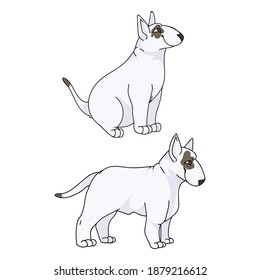 Cute cartoon Bull Terrier puppy vector clipart. Pedigree kennel doggie breed for kennel club. Purebred domestic dogs training for pet parlor illustration mascot. Isolated canine breed. 