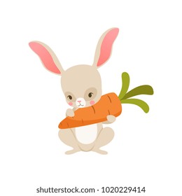Cute cartoon bunny nolding carrot, funny rabbit character, Happy Easter concept cartoon vector Illustration