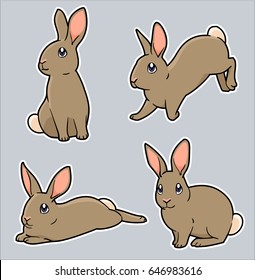 Cute cartoon bunny rabbit in a variety of poses: standing, jumping, laying down