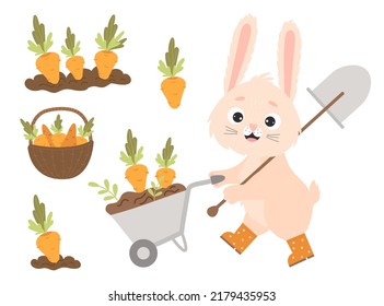 Cute cartoon bunny in rubber boots with garden wheelbarrow and shovel, harvesting. Carrots in garden bed and in wicker basket. Vector illustration happy character rabbit. Isolated elements.