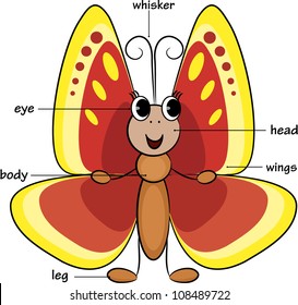 Cute cartoon butterfly. Vocabulary of body parts. Vector illustration.