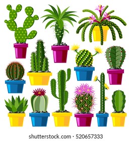 Cute cartoon cactus collection