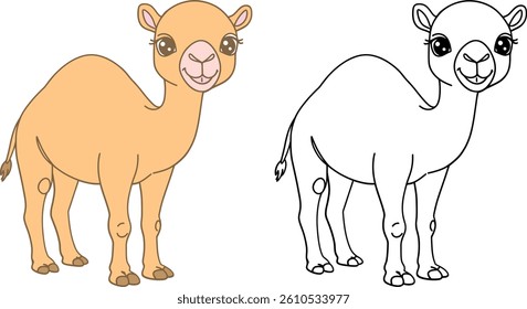Cute Cartoon Camel Illustration Coloring Book