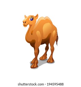 Cute cartoon camel. Vector character